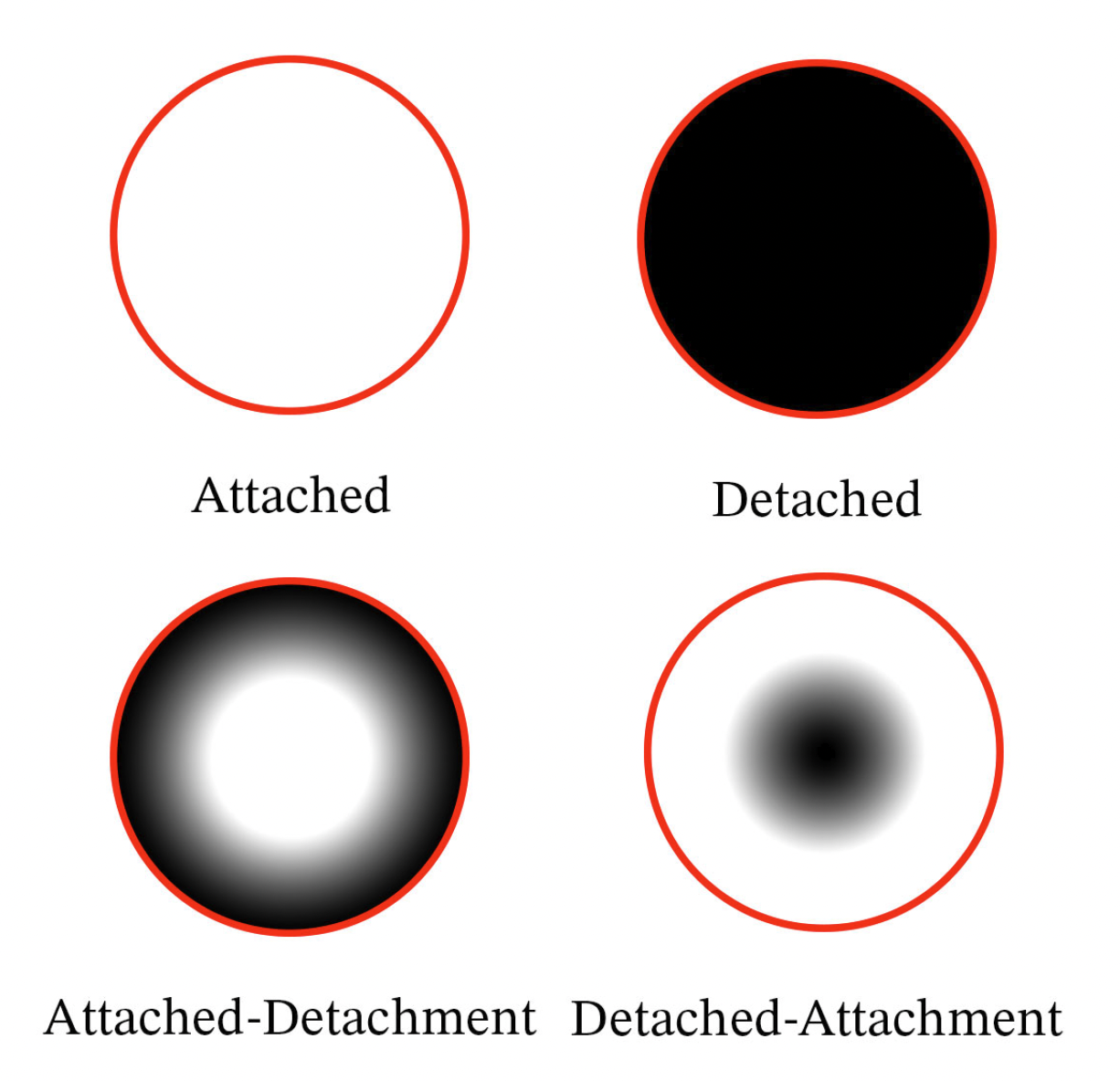 Attachment and Detachment categories